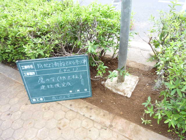 sonoiti5